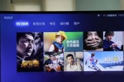 彩电黑屏故障分析与解决方法（掌握解决彩电黑屏故障的技巧）