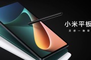 野草助手在小米平板上的安装方法是什么？