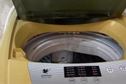 松下洗衣机U11故障及修复方法（了解松下洗衣机U11故障原因及有效修复方法）