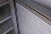 如何正确清洗新买的冰箱（简单步骤让您的冰箱保持干净整洁）