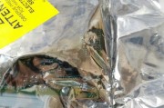 如何修理新飞冰箱冷藏化霜传感器故障（故障排查及维修方法详解）
