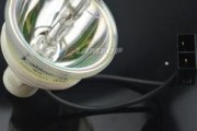 夏普投影仪灯泡故障的原因及解决方法（探究夏普投影仪灯泡故障的成因）
