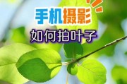 手机如何倒置拍摄照片？