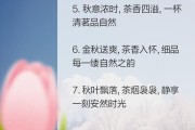 自然之韵蓝牙耳机下架的原因是什么？还有替代品吗？