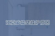 威能壁挂炉显示F29故障原因及解决方法（为什么威能壁挂炉显示F29故障）