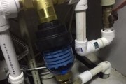 解决净水器漏嘴问题的有效方法（保护您家的饮用水安全）