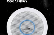 英斯派低配音响音质评价如何？适合日常使用吗？