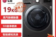 保持洗衣机清洁的方法及技巧（以LG立式洗衣机为例）