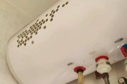 热水器清洗后不出热水的原因与解决方法（解析热水器清洗后无法提供热水的常见问题及应对策略）
