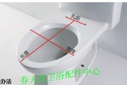 马桶座圈损坏维修办法（学会更换杜拉维特马桶座圈）