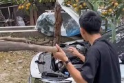 汽车内放置什么物品可以防止蛇进入？