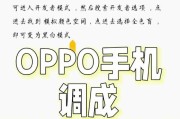 如何调出OPPO小屏模式（快速便捷地切换屏幕大小）