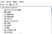 电脑无声音的解决方法（处理电脑无声音问题的有效方法）