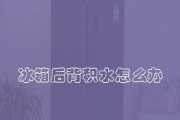 冰箱质量问题处理指南（了解冰箱质量问题的原因及解决方法）