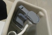解决九牧抽水马桶堵塞问题的方法及原因分析（探究九牧抽水马桶堵塞的原因）