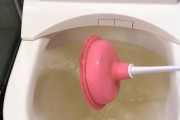 玩具堵住马桶的疏通方法（快速解决马桶堵塞的有效技巧）