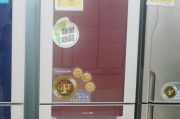 冰柜制冷封闭存在问题的解决方法（打破冰柜制冷封闭的困局）