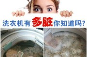 洗衣机清洁剂可以与衣物一起洗吗（如何安全地使用洗衣机清洁剂）