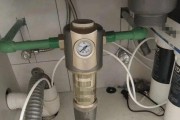净水器漏嘴的处理方法（解决净水器漏嘴问题的有效方法）