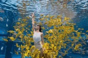 水下拍摄手机选择标准是什么？如何拍出清晰照片？