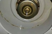 如何正确清洗暖气热水器（掌握清洗方法）
