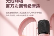 选择蓝牙音箱麦克风一体机的标准是什么？如何测试音质？