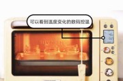烤箱异味怎么办？（消除烤箱异味的有效方法）