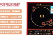 半球电磁炉无法启动的解决方法（电源问题是导致半球电磁炉无法打开的常见原因）
