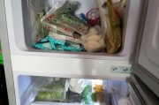 冰柜冻不起冰块的原因及解决方法（为什么冰柜不能冻结冰块）