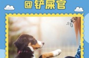 训狗坐电瓶车的正确方法是什么？