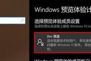 联想小新虚拟键调整方法？如何设置在一侧？