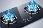 燃气灶不开火怎样解决？（燃气灶不点火的解决方法）