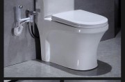 揭秘抽水马桶的简单原理（了解抽水马桶的构造和工作原理）