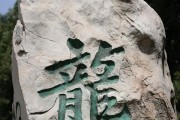 解析龙子电磁炉故障代码的原因与解决方法（龙子电磁炉故障代码解析）
