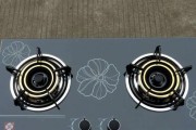 紧急情况下燃气灶未关上的应急处理方法（如何安全处理未关闭的燃气灶以避免火灾）