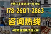 家用油烟机清洗攻略（家用油烟机清洗的关键步骤和技巧）