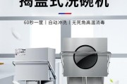 洗碗机洗不锈钢变蓝的原因及解决方法（避免不锈钢变蓝的关键在于正确使用洗碗机）