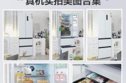 冰箱与冰柜的区别及应用场景（探索冷藏与冷冻技术的差异和适用性）