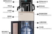 松下宠物饮水机（创新技术保障安全健康饮水）