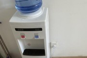 柠檬清洗饮水机的方法（简单易行的家庭清洗方式）