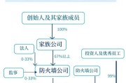 家族公司与防火墙公司的主要区别是什么？它们的业务范围有何不同？