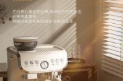 伦敦雾咖啡机故障（解决方法及维修建议）