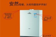 冷凝壁挂炉的保养指南（延长冷凝壁挂炉使用寿命的关键）