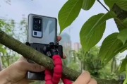 双拍摄手机支架使用方法？如何正确设置拍摄角度？