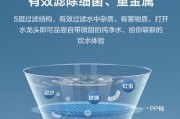 专业维修净水器价格的影响因素及解决方法（从品牌到故障）
