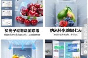 无霜冰箱结冰的原因及解决方法（了解无霜冰箱结冰的根本原因）