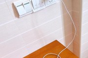 苹果手机挂的数据线有何特别之处？它的名称是什么？
