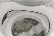 如何清洗冰箱上的水垢（简单、有效的清洗方法）