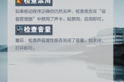电脑如何输入声音？操作步骤是什么？