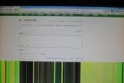 开机显示器有亮光问题分析及解决方案（深入解析开机显示器亮光问题）